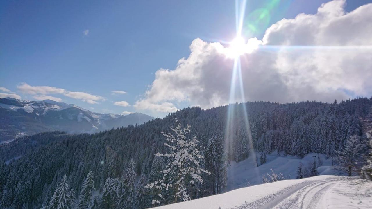 Lindbichlhof Urlaub Am Bio Bauernhof Lägenhet Sankt Johann im Pongau Exteriör bild