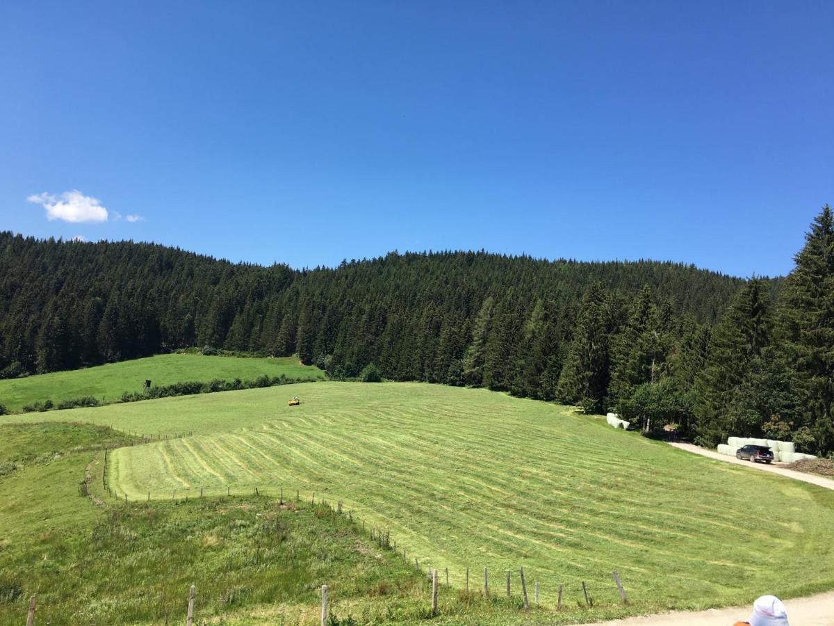 Lindbichlhof Urlaub Am Bio Bauernhof Lägenhet Sankt Johann im Pongau Exteriör bild
