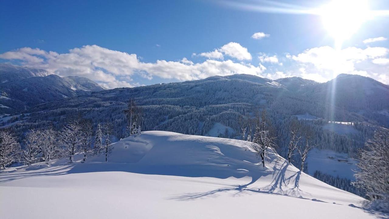 Lindbichlhof Urlaub Am Bio Bauernhof Lägenhet Sankt Johann im Pongau Exteriör bild