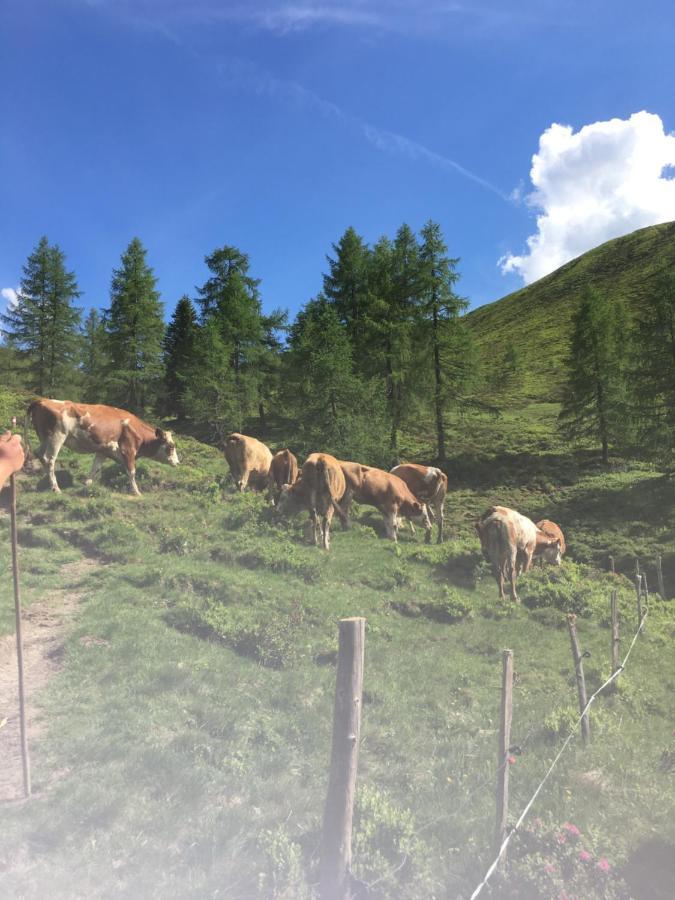 Lindbichlhof Urlaub Am Bio Bauernhof Lägenhet Sankt Johann im Pongau Exteriör bild