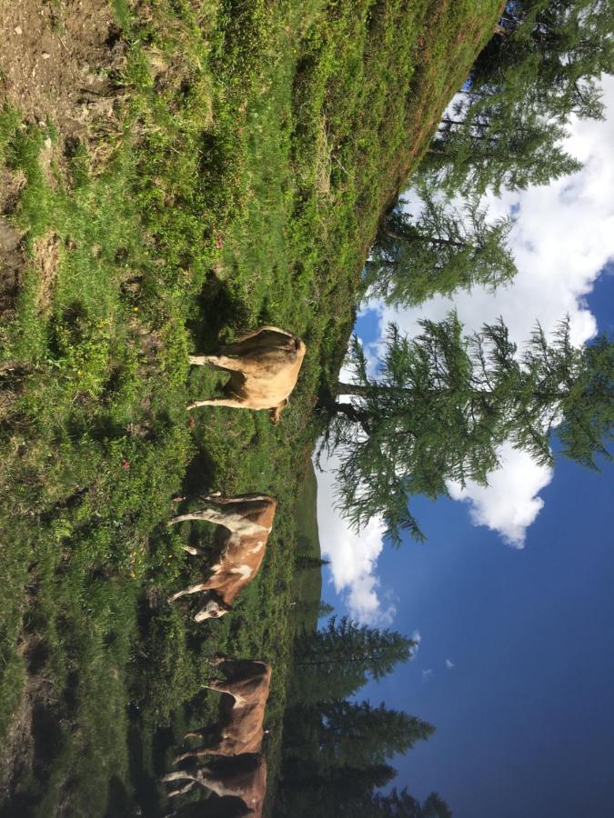 Lindbichlhof Urlaub Am Bio Bauernhof Lägenhet Sankt Johann im Pongau Exteriör bild