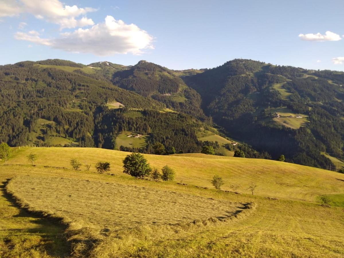 Lindbichlhof Urlaub Am Bio Bauernhof Lägenhet Sankt Johann im Pongau Exteriör bild