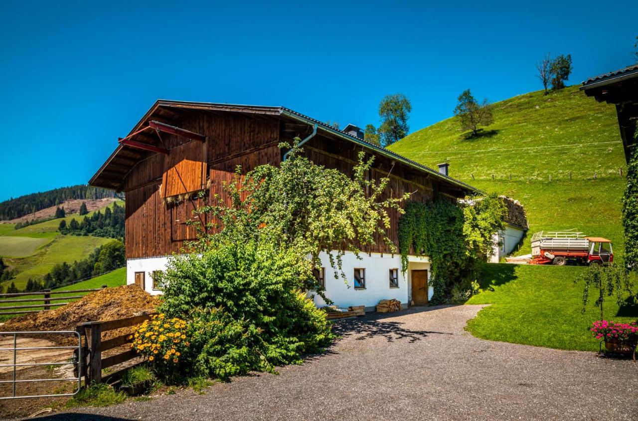 Lindbichlhof Urlaub Am Bio Bauernhof Lägenhet Sankt Johann im Pongau Exteriör bild