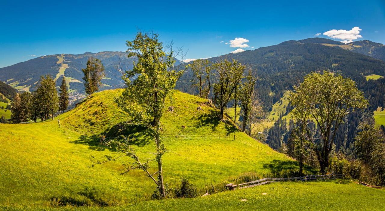 Lindbichlhof Urlaub Am Bio Bauernhof Lägenhet Sankt Johann im Pongau Exteriör bild