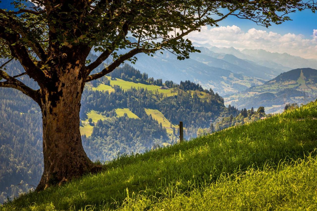 Lindbichlhof Urlaub Am Bio Bauernhof Lägenhet Sankt Johann im Pongau Exteriör bild