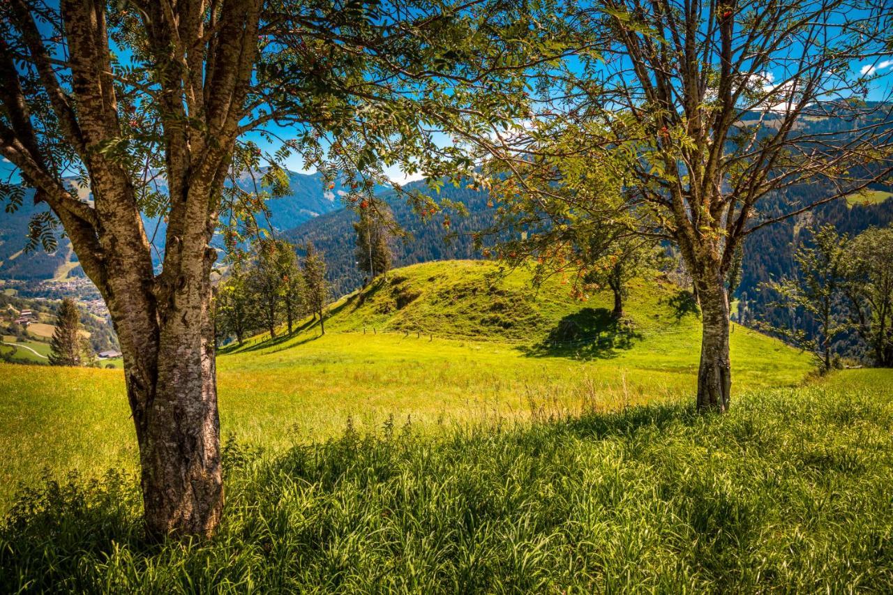 Lindbichlhof Urlaub Am Bio Bauernhof Lägenhet Sankt Johann im Pongau Exteriör bild