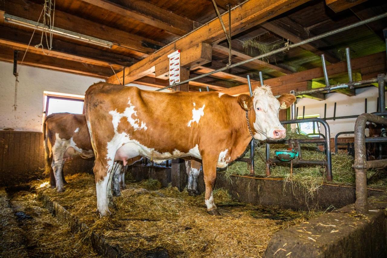 Lindbichlhof Urlaub Am Bio Bauernhof Lägenhet Sankt Johann im Pongau Exteriör bild